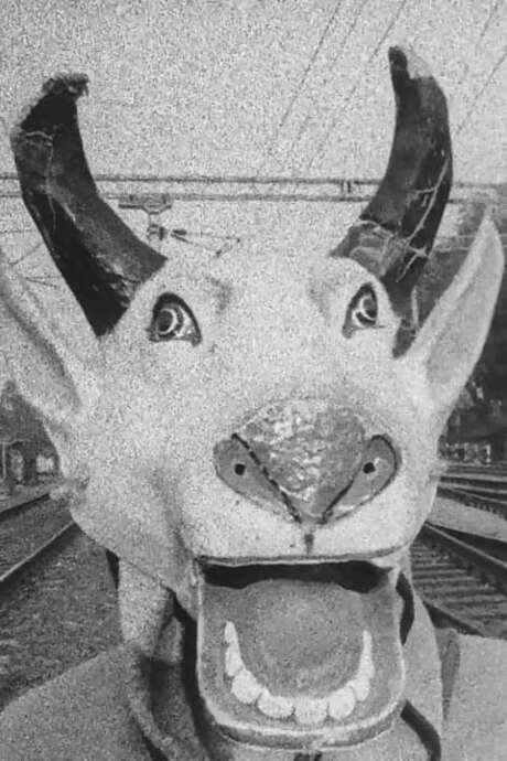 The Kali of Emergency